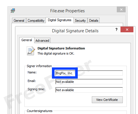 Screenshot of the BigFix, Inc. certificate